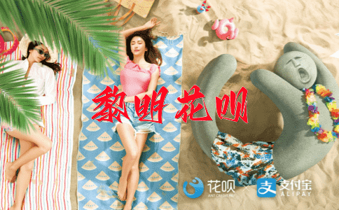 各抒己见花呗